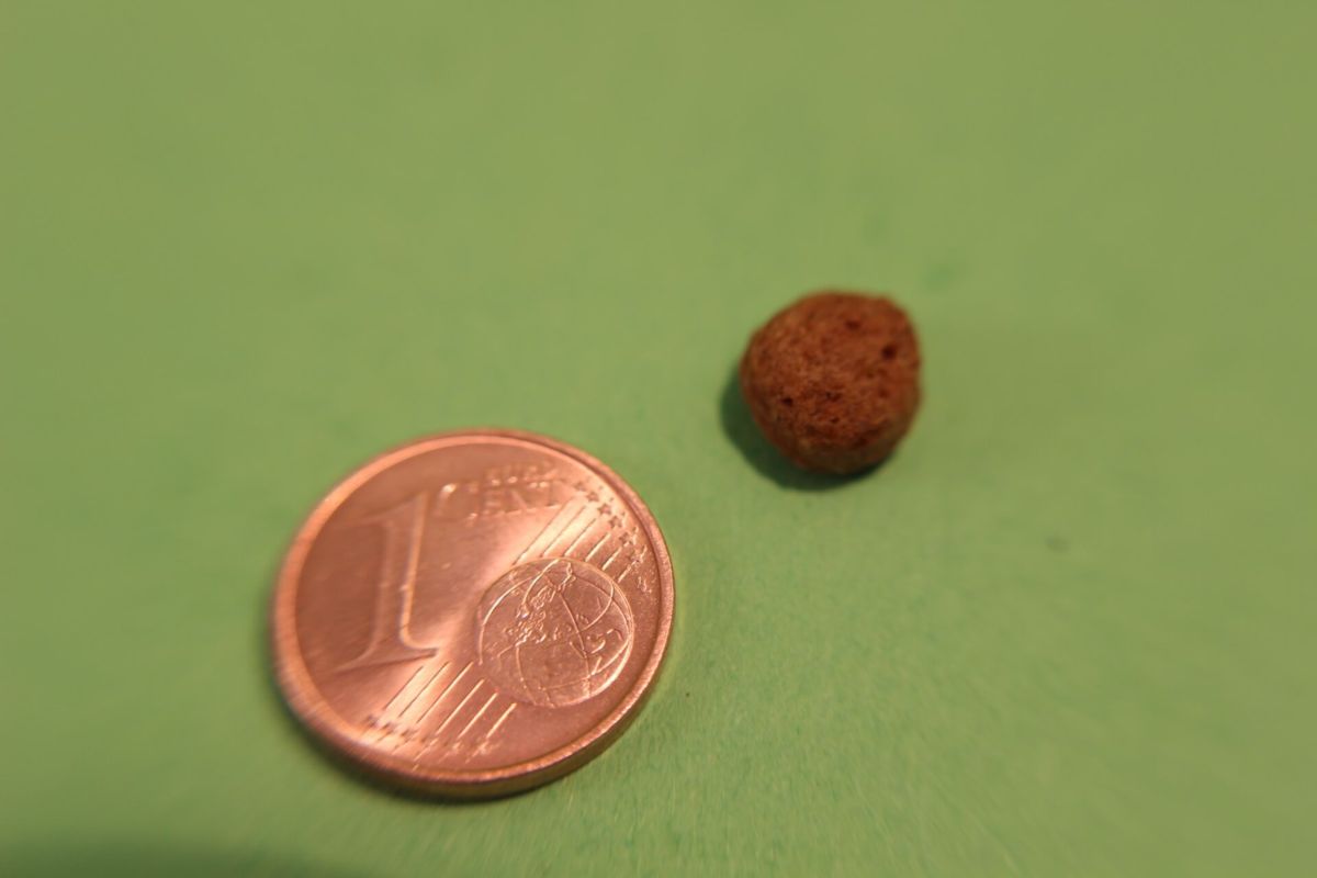 Adult Light Huhn - für ausgewachsene Katzen, die zu Übergewicht neigen. - 400g